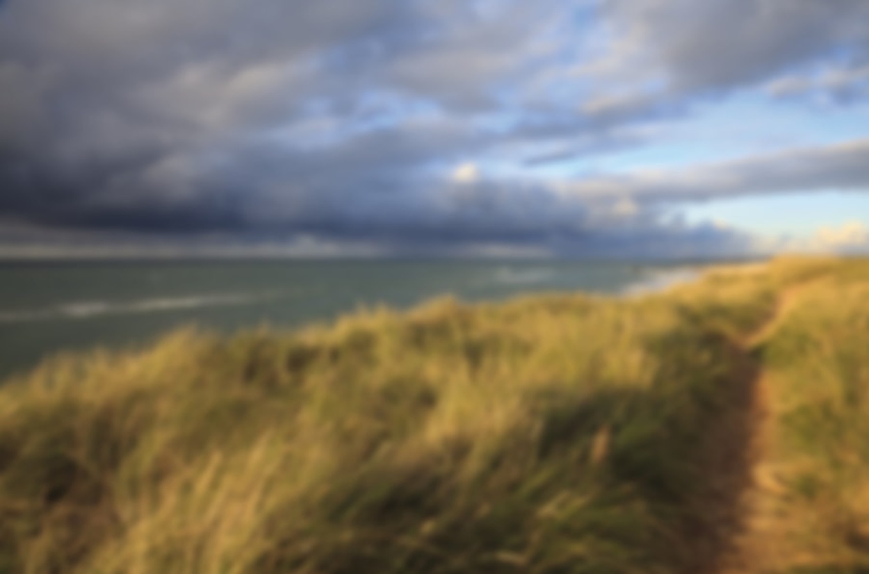 Windkraft bei Muster Elektro in Musterstadt