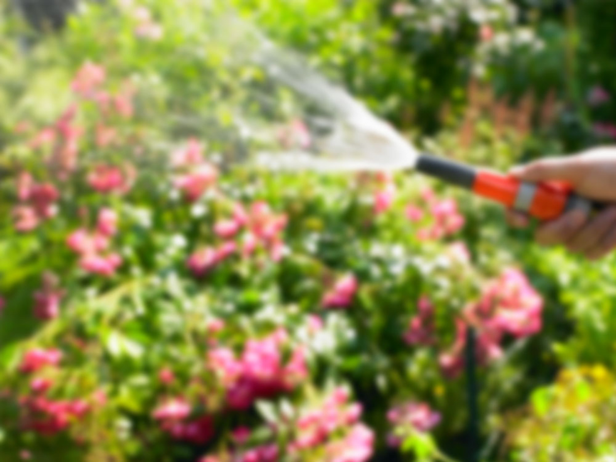 Regenwassernutzung bei Muster Elektro in Musterstadt